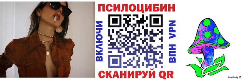 Галлюциногенные грибы мицелий  omg вход  Белово 